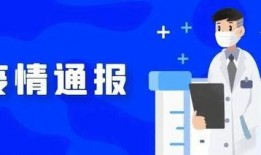 上海近期疫情爆料新闻,多区域现新增病例，防控措施持续升级
