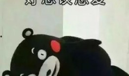 一个狗狗最新爆料图片表情包,萌态可掬，笑翻网友