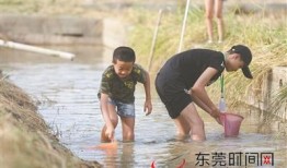 阿婆爆料秋天妈妈视频,秋天妈妈视频背后的温馨故事