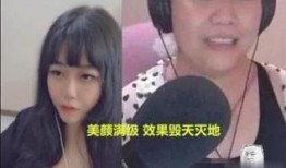 大婶爆料视频大全最新版,揭秘生活百态，笑料横生